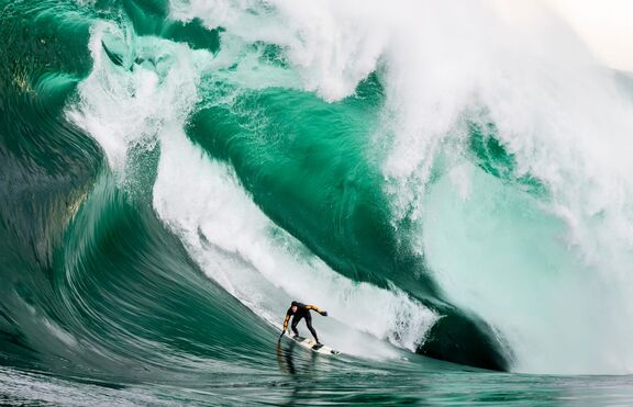 illume category images 02