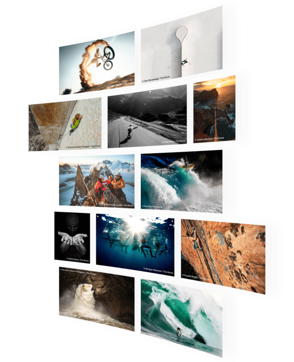 submission phase collage zoat 2