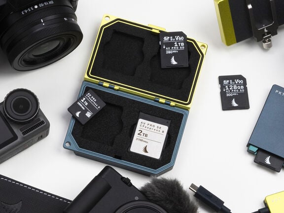 zooom news welcoming angelbird to the zooom family tile view