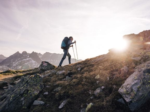 zooom news red bull x alps is over 1
