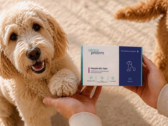 zooom news almapharm building brand growth tile view image